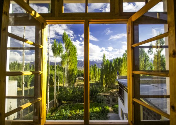 Cost of Wood Window Replacement in Fenton