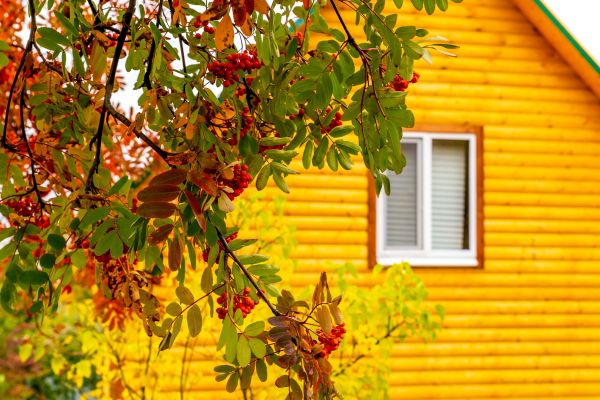 Cost of Garden Window Replacement in Fenton